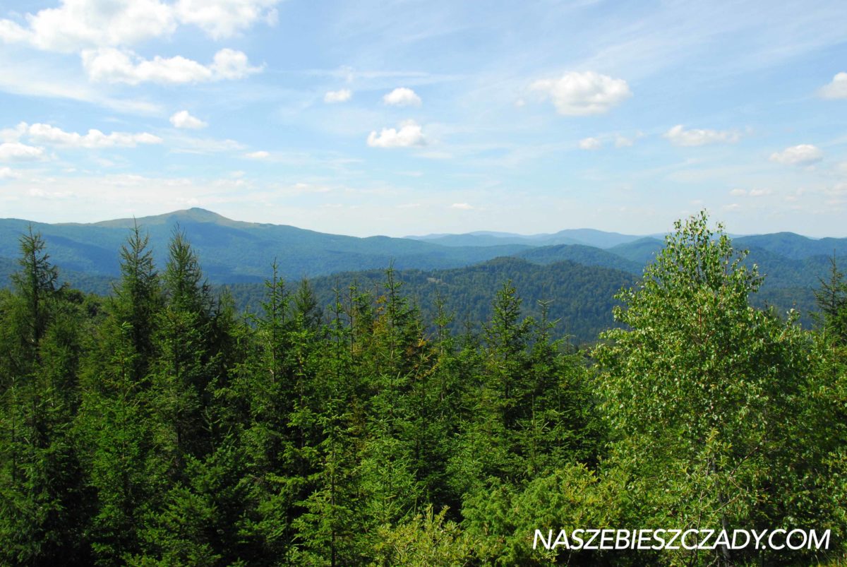 Dwernik Kamien z Zatwarnicy Nasze Bieszczady