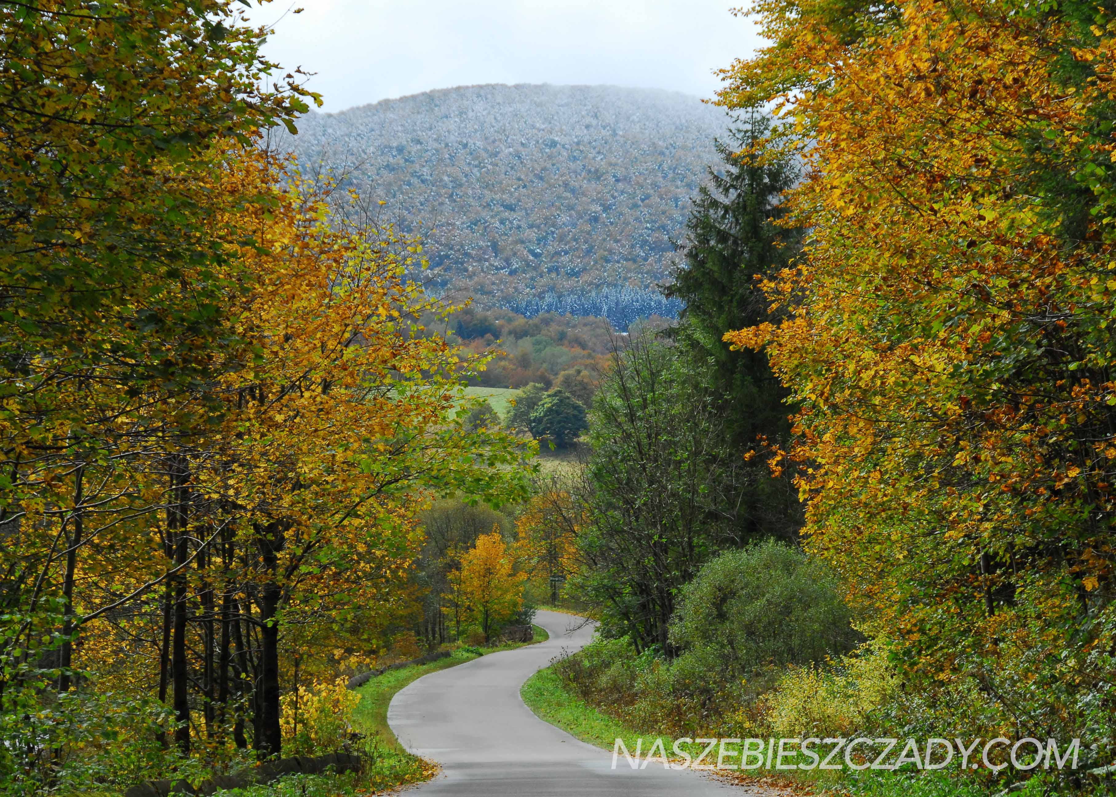 Zlota jesien w Bieszczadach