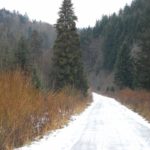 Zimowe szlaki w Bieszczadach